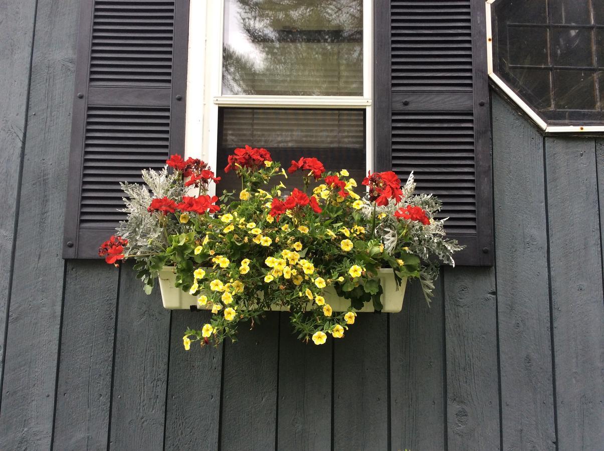 Firefly Bed & Breakfast Lincoln Exteriör bild