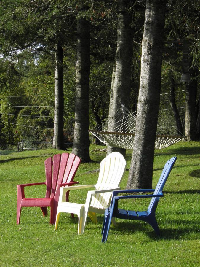 Firefly Bed & Breakfast Lincoln Exteriör bild