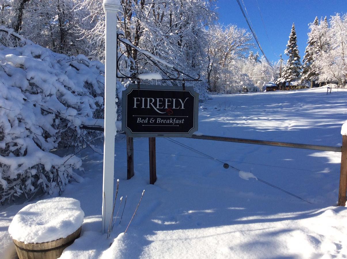 Firefly Bed & Breakfast Lincoln Exteriör bild