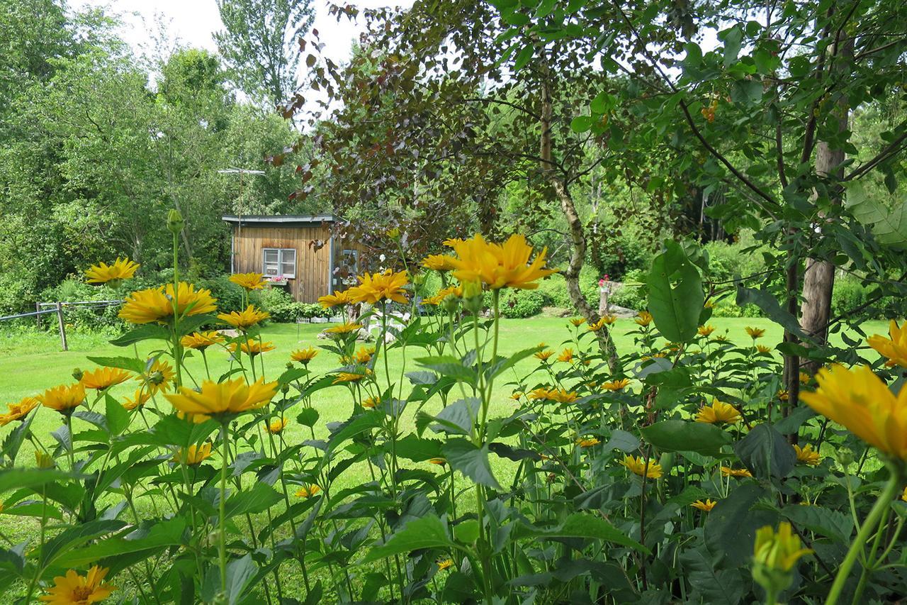 Firefly Bed & Breakfast Lincoln Exteriör bild