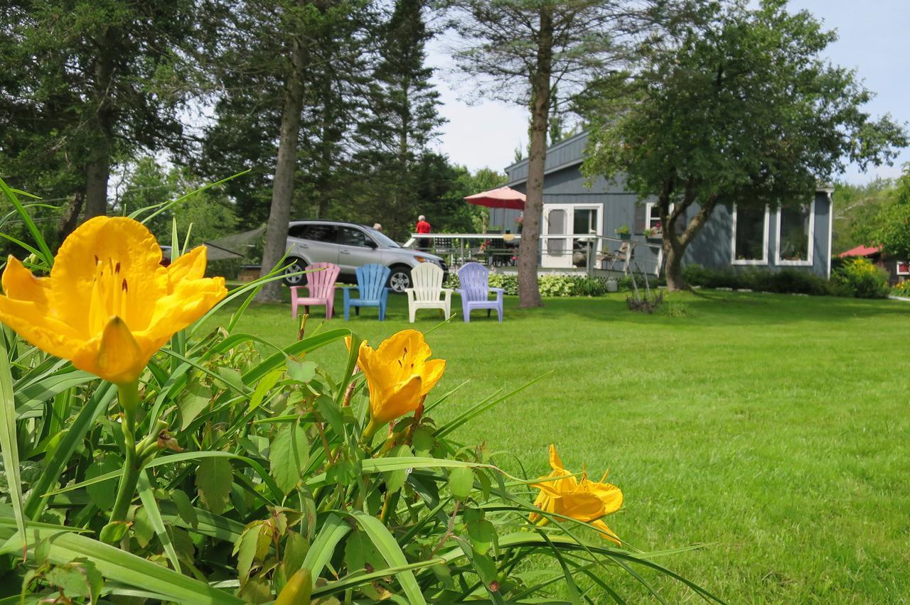 Firefly Bed & Breakfast Lincoln Exteriör bild