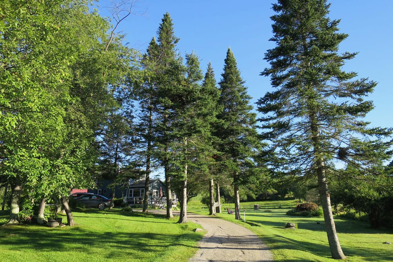 Firefly Bed & Breakfast Lincoln Exteriör bild