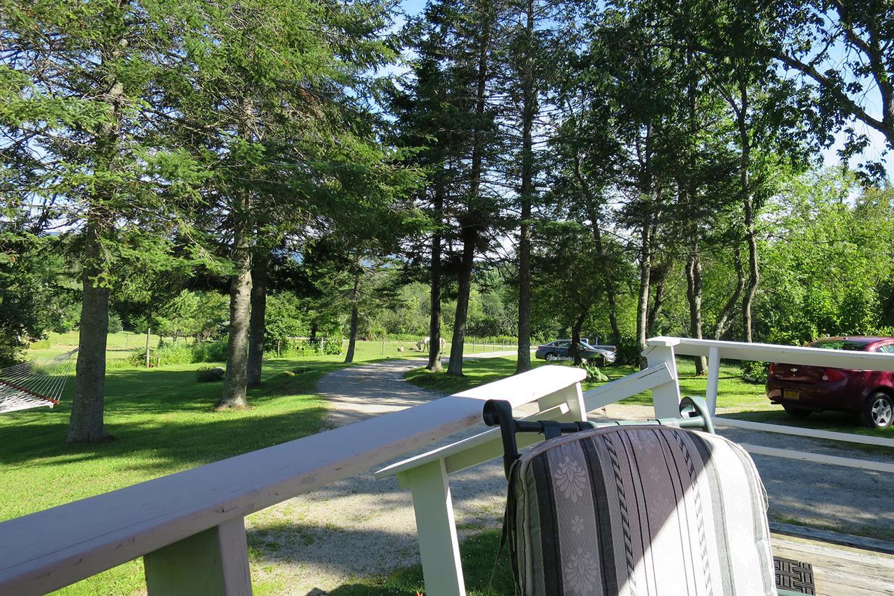 Firefly Bed & Breakfast Lincoln Exteriör bild